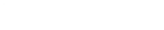 Logo White